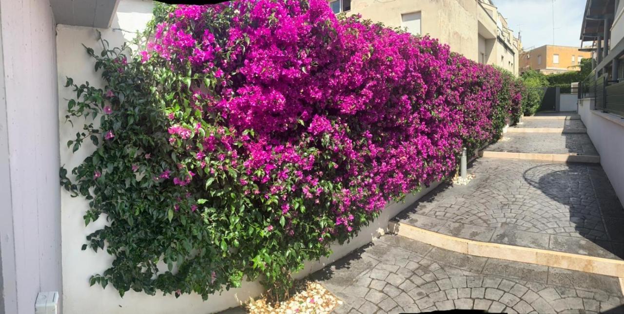 The Shabby House - Charming Seaside Retreat In Central Anzio, Steps From Beach And Train Station Екстер'єр фото