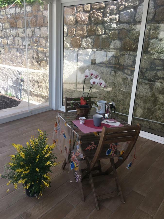 The Shabby House - Charming Seaside Retreat In Central Anzio, Steps From Beach And Train Station Екстер'єр фото